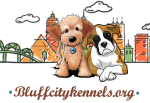 Mini Goldendoodle Puppies